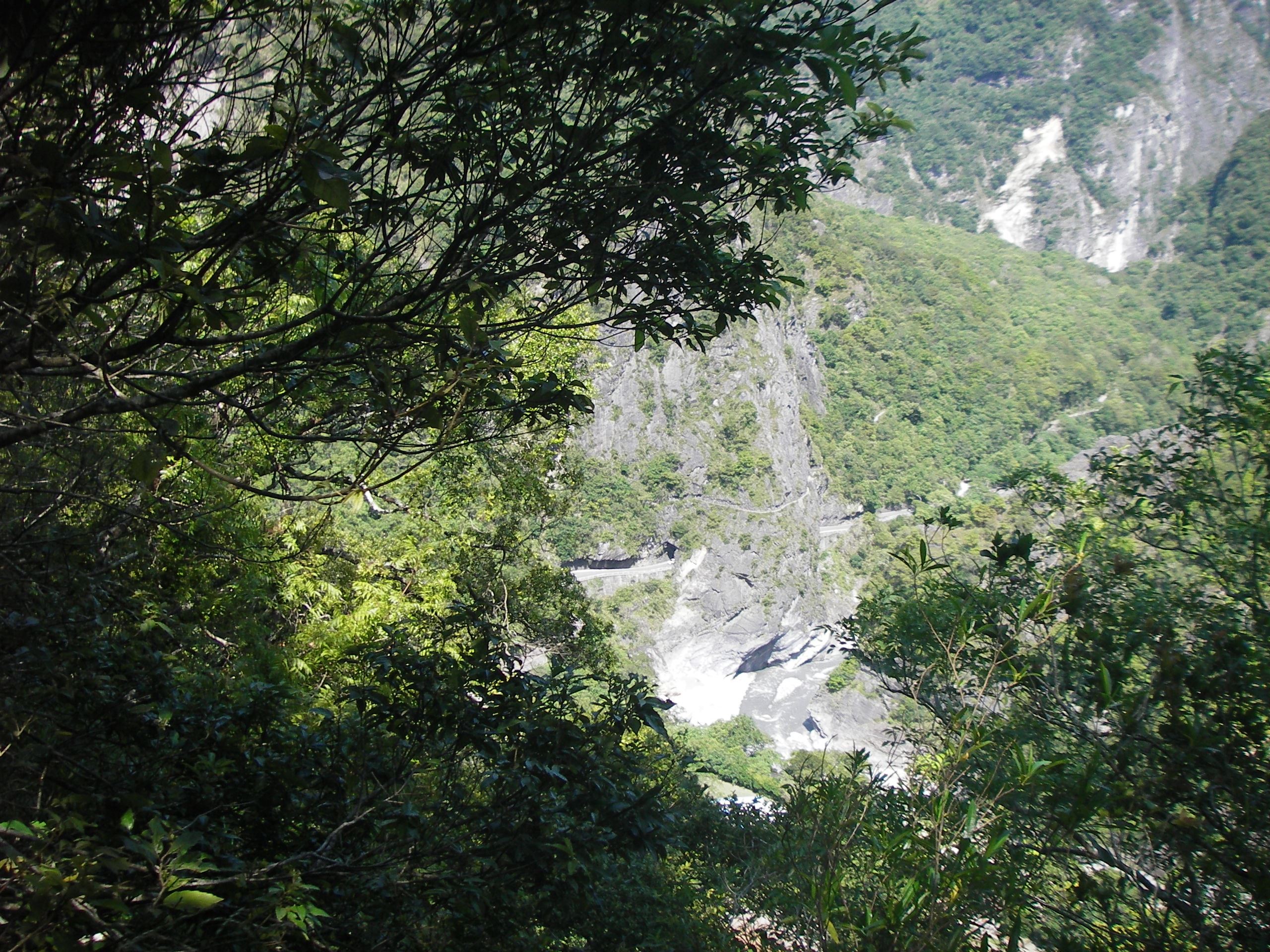 花蓮私房登山步道Top7|親近花蓮的好山好水 征服超美登山步道