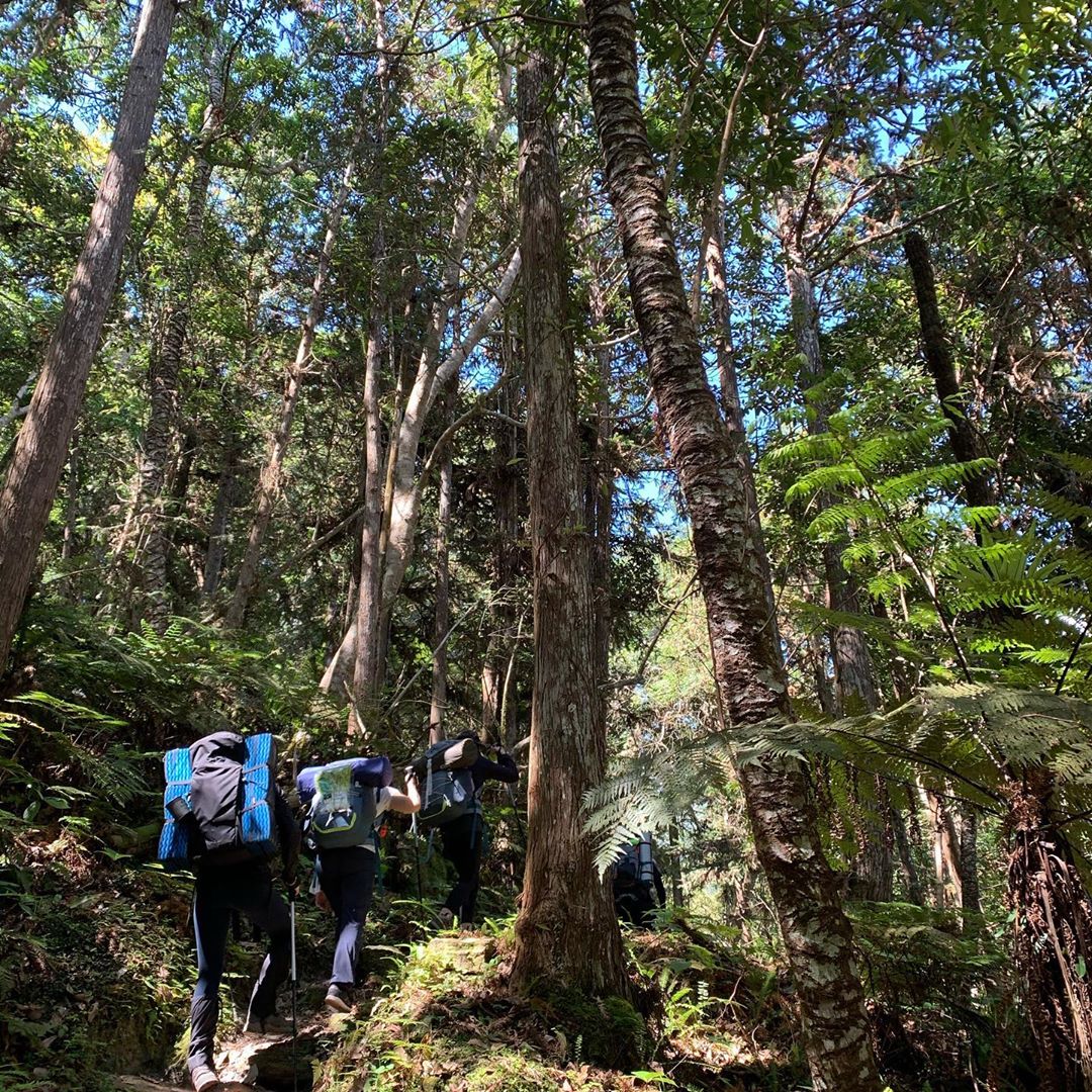 瓦拉米登山步道@tzuhua1211