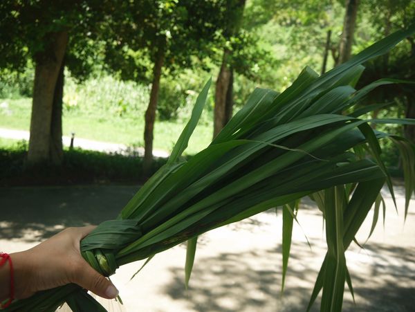 P1780659_副本.jpg