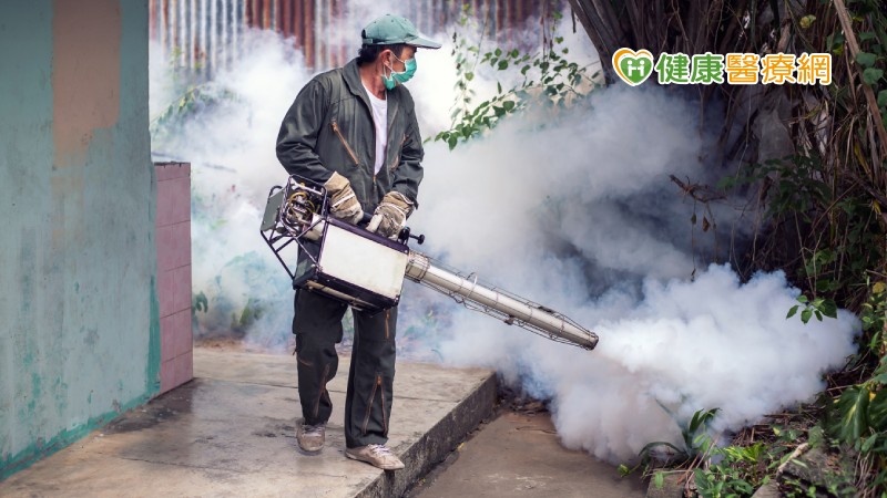 新北登革熱群聚已39例 疾管署:本周下雨清積水容器