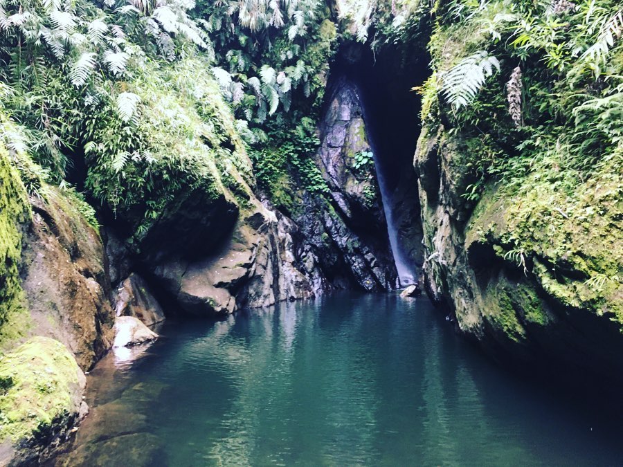 麻荖漏步道@jingjing Taitunglife