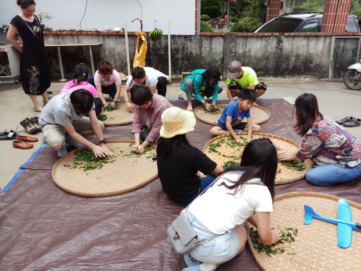 台東好米收冬祭開跑|愛吃飯桶王大賽、藝文表演、文創市集等你來尋寶