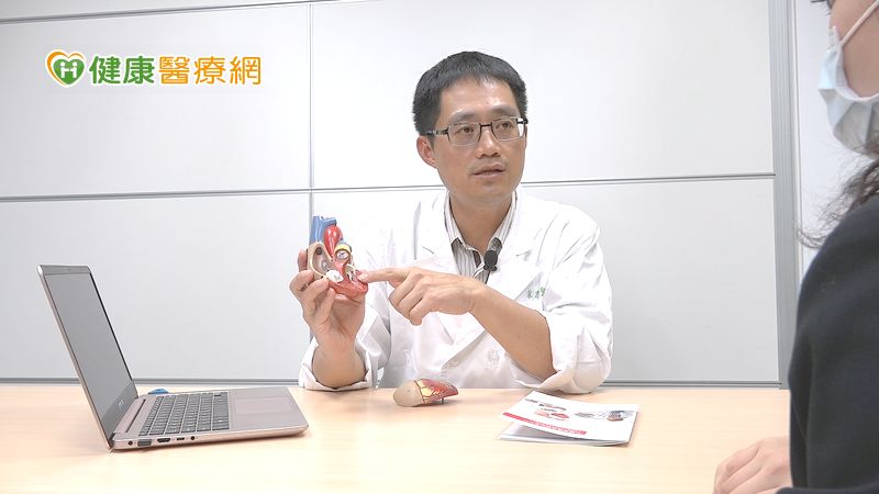 暈、悶、喘恐為二尖瓣逆流! 二尖瓣夾合術免開刀「用金屬夾」治療