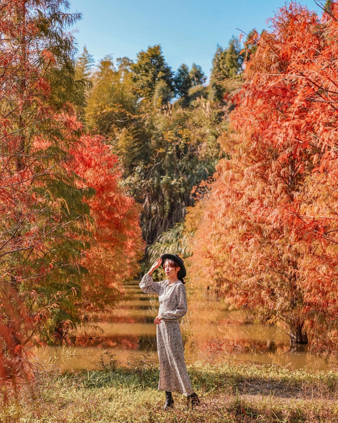 苗栗三灣 @elena 0921