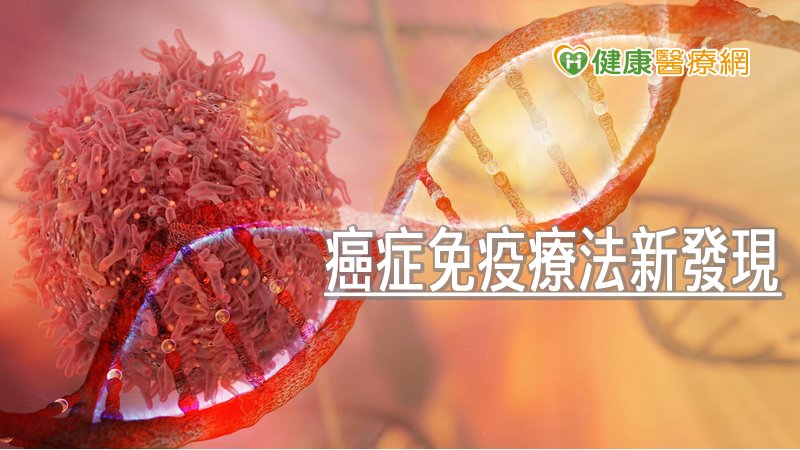 癌症免疫療法新發現 中研院研發新抗體
