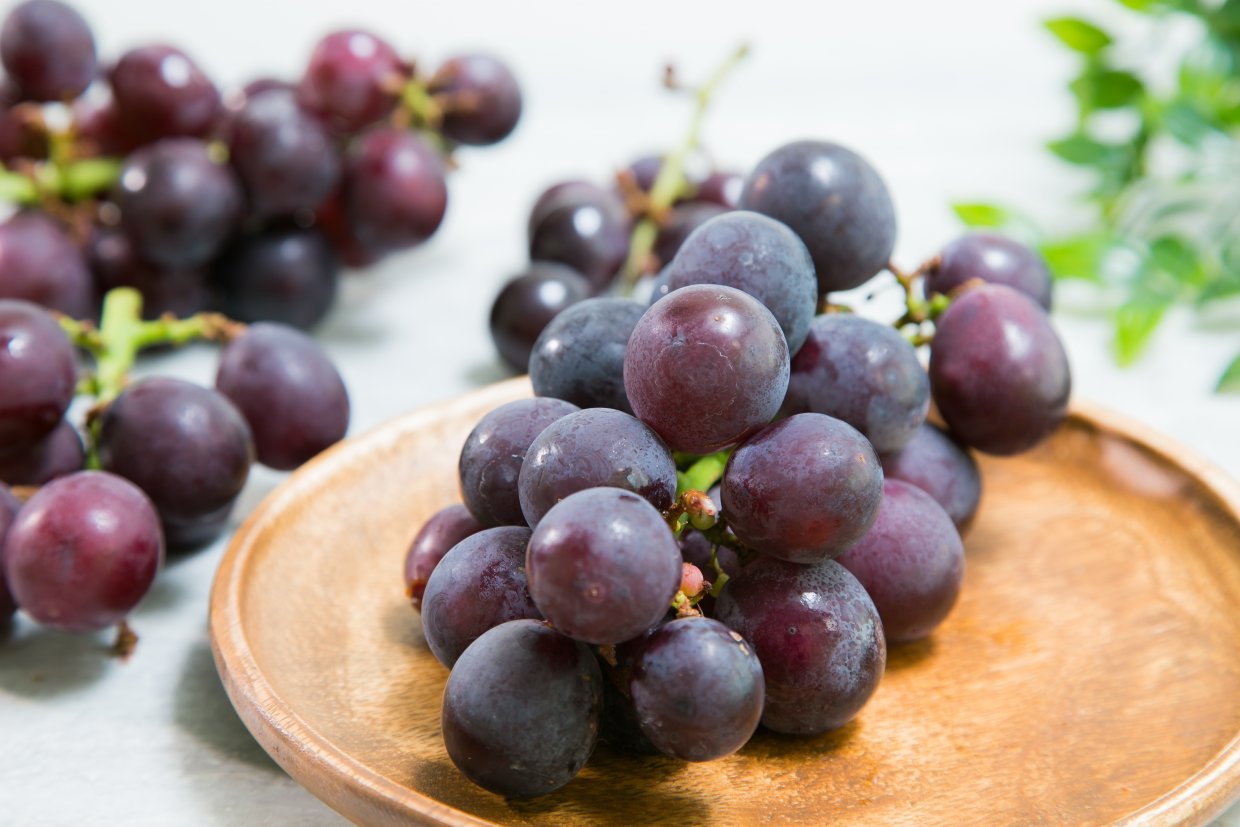 葡萄種類:巨峰葡萄