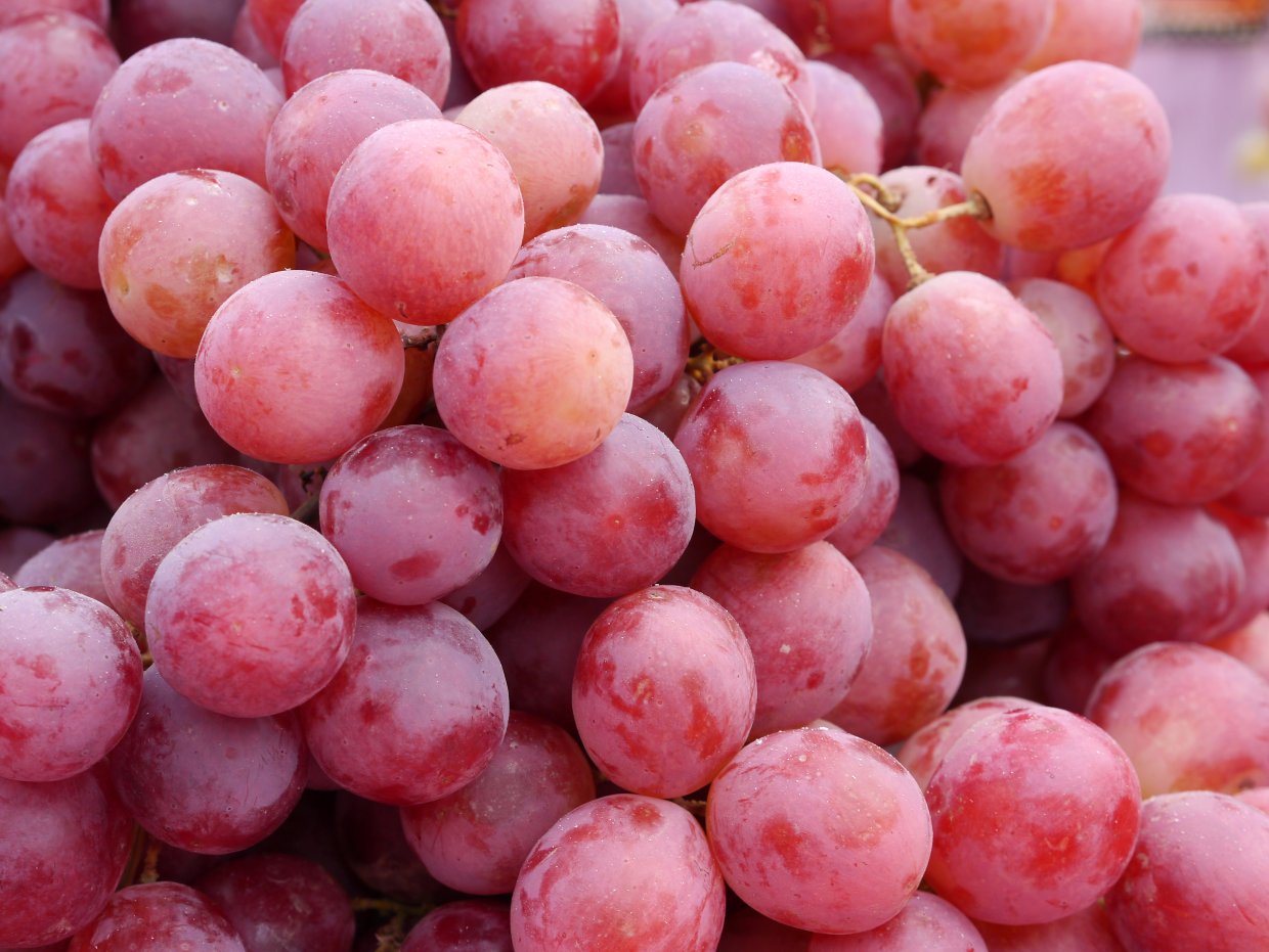 Shutterstock 166114508