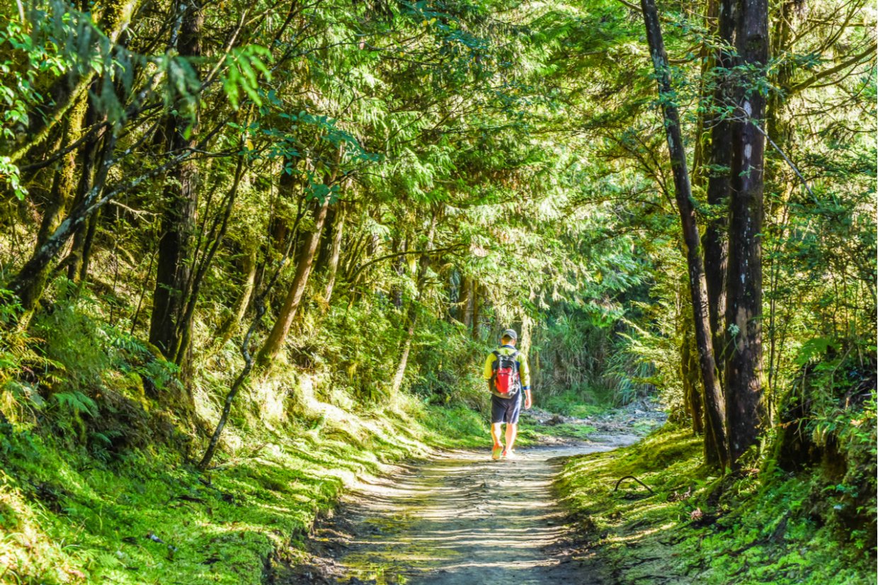 太平山攻略｜走訪依山傍湖的翠峰湖環山步道 探訪台灣最大高山湖泊