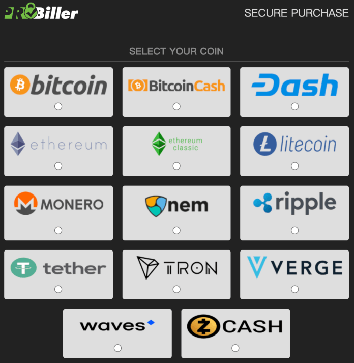 pornhub crypto payment