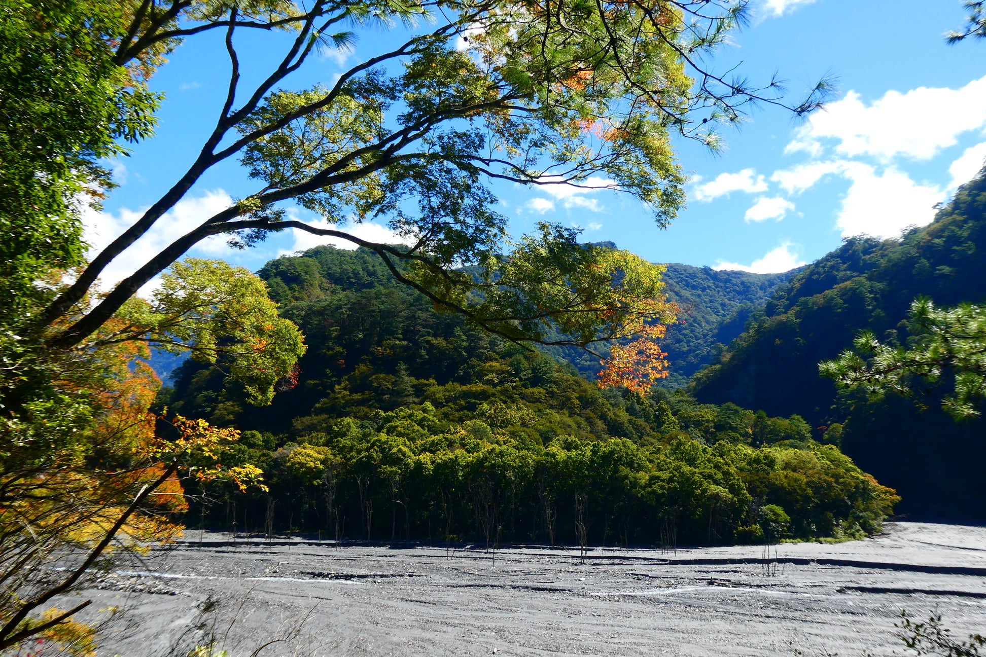 「奧萬大森林遊樂區」超完整賞楓攻略|奧萬大賞楓景點整理