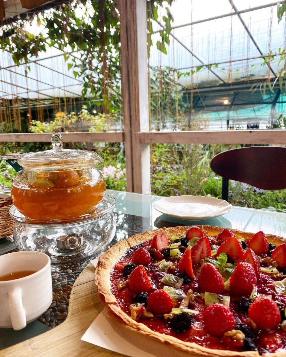 莓圃 @janechiu1025