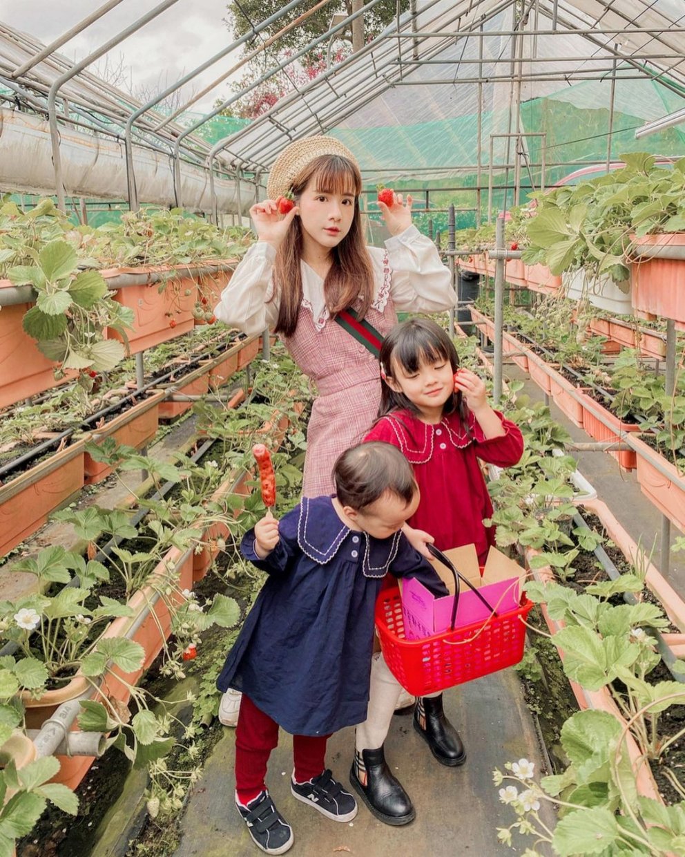 內湖草莓園 @flora Li Flora