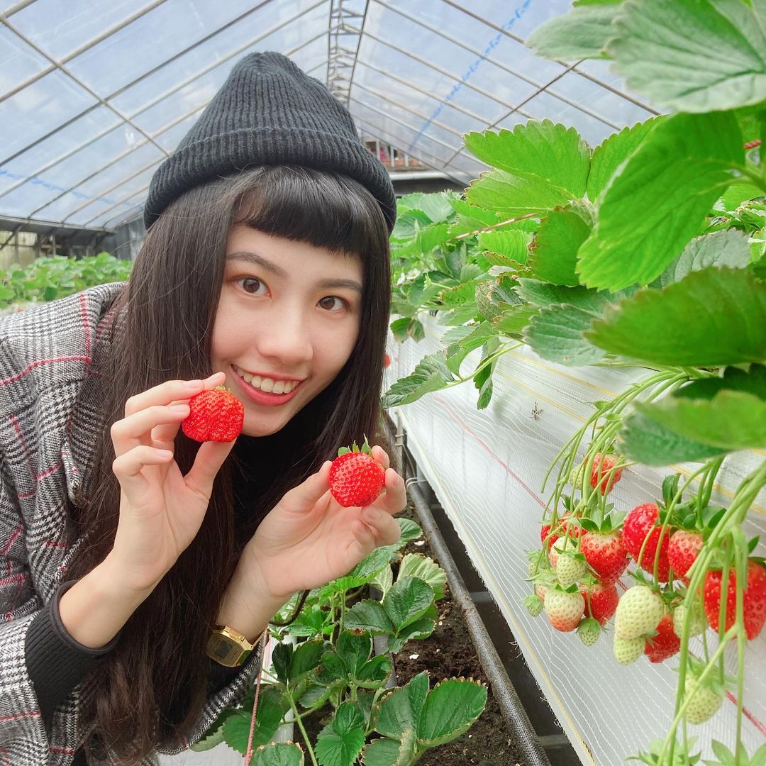 內湖草莓園 @iyoparsley