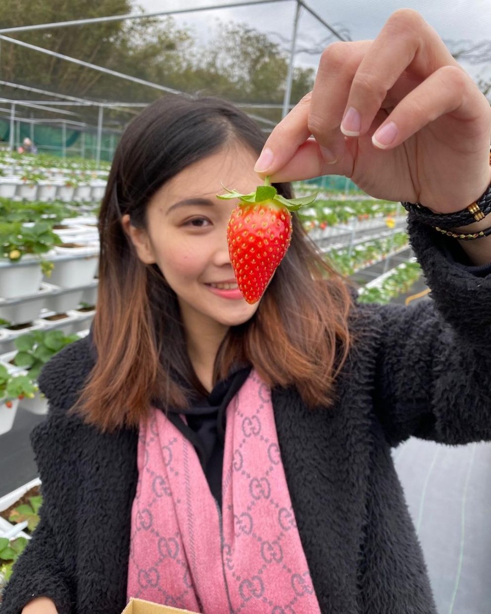 長鑫莓果農園 @tomi0216