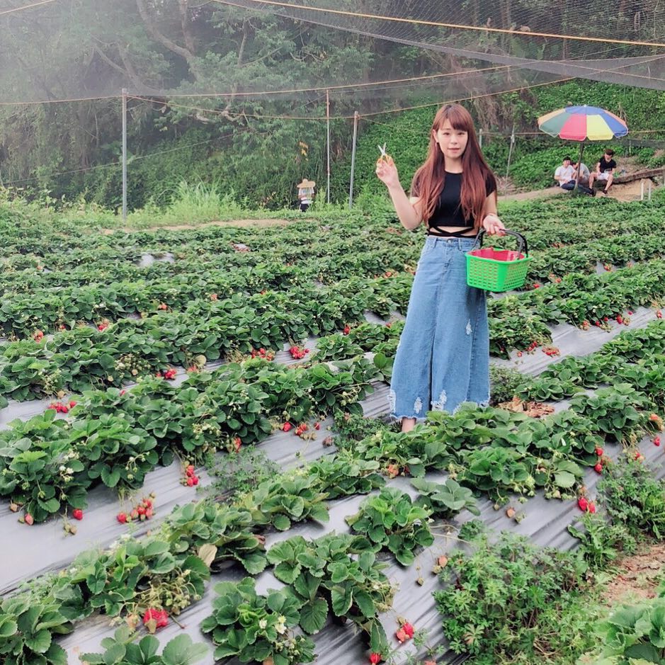 山之戀 @850606kathy