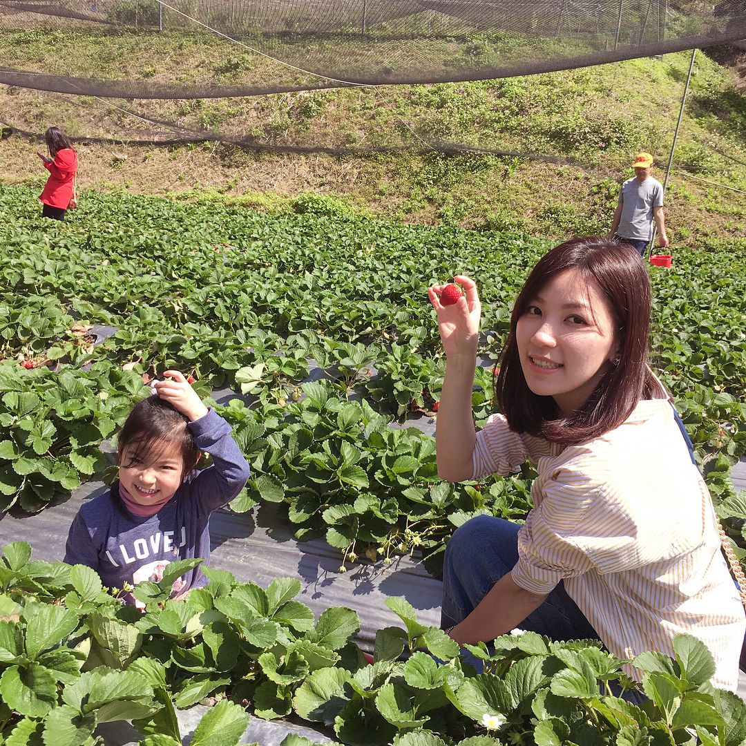 山之戀 @ashleypeng