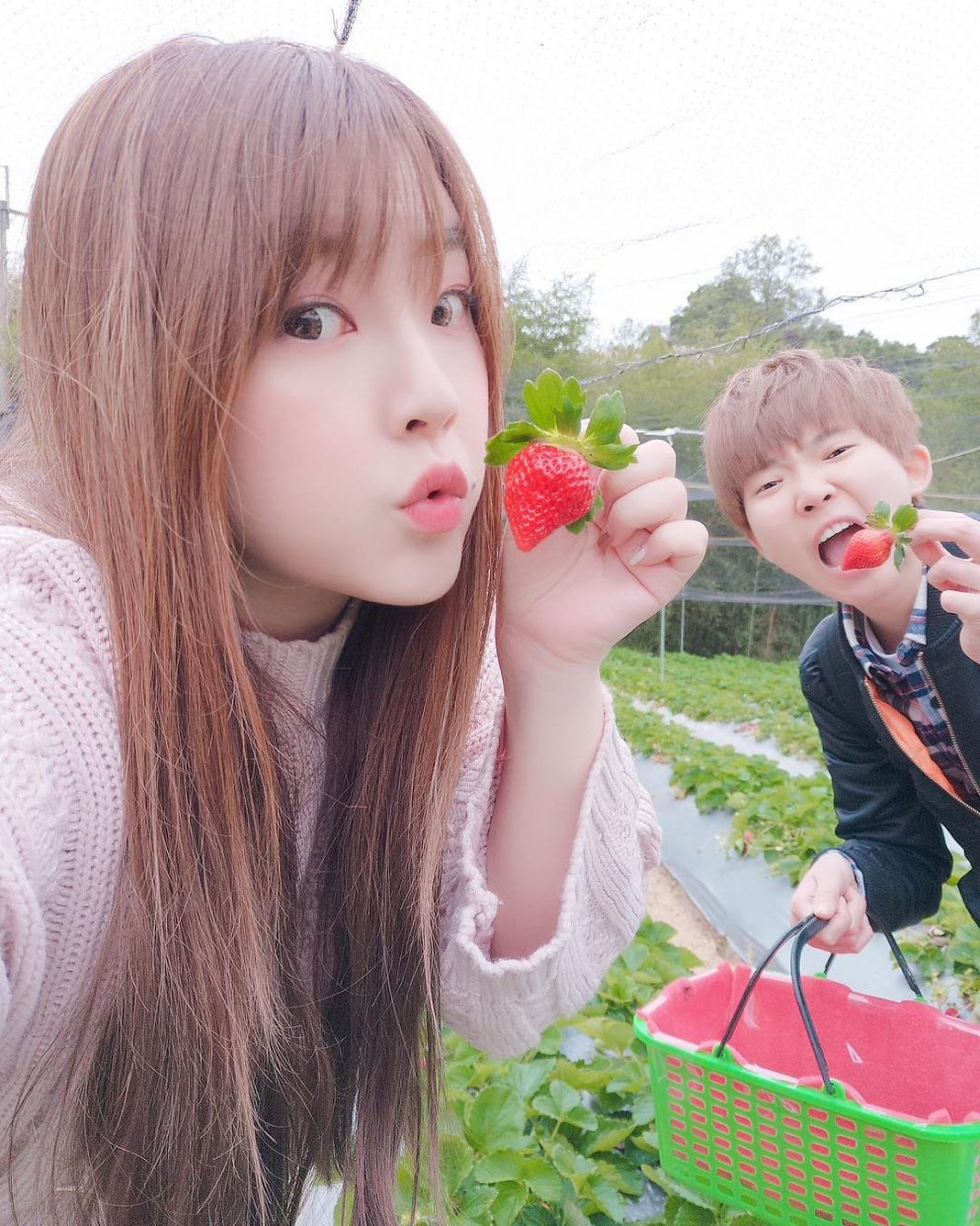 山之戀 @amini0808