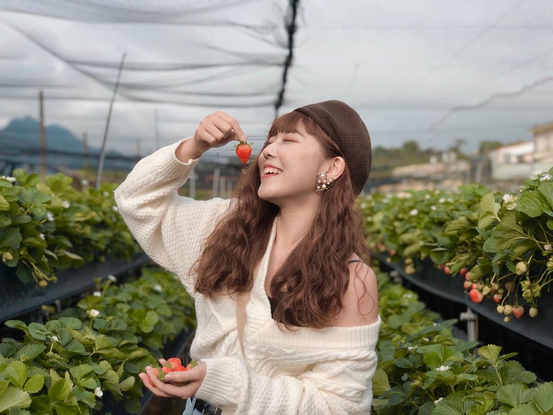 六合高架草莓園 @tingyun