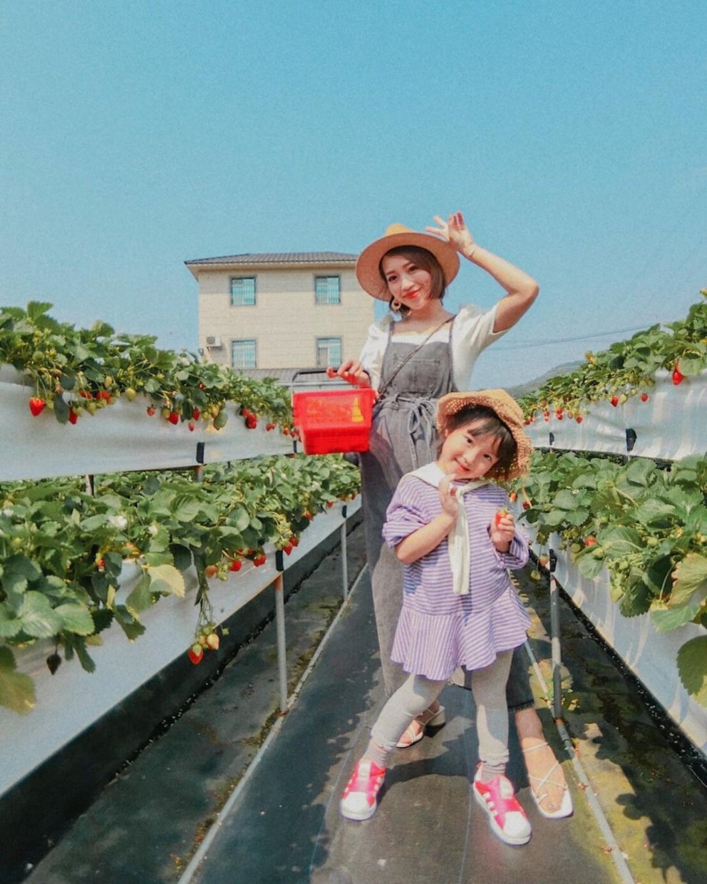滿意牛奶蜜高架草莓園 @loveso1025