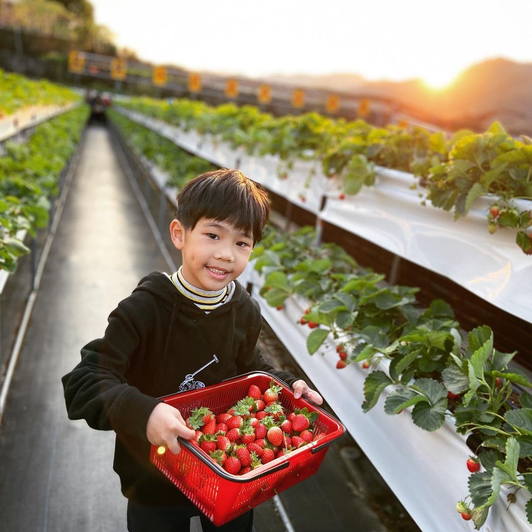 滿意牛奶蜜高架草莓園 @yuna Liu