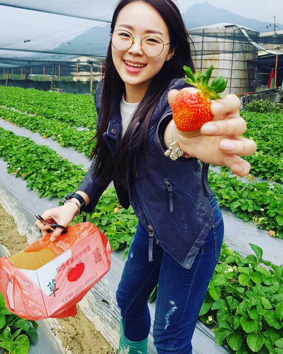 納豆草莓園 @t20030904