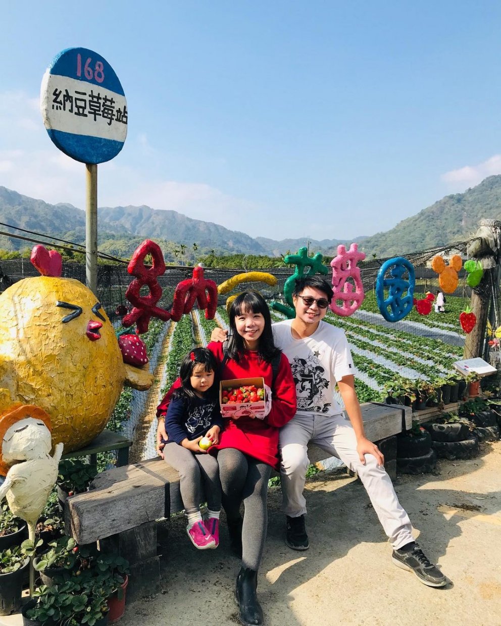 納豆草莓園 @sophiaorange