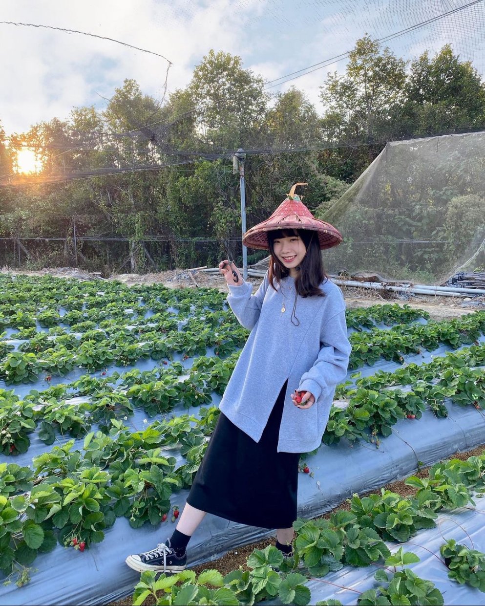 納豆草莓園 @qiong 22