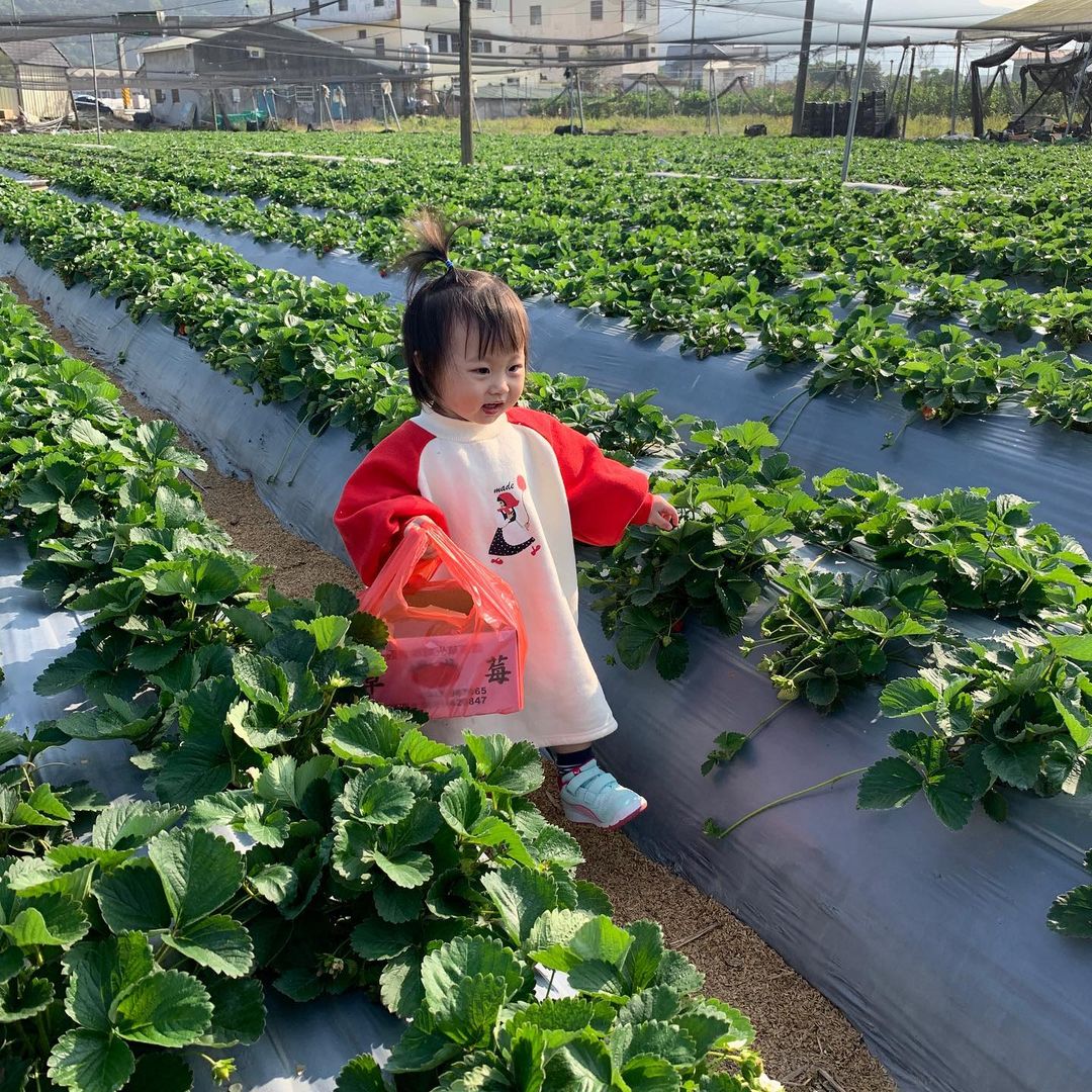 納豆草莓園 @kd660819