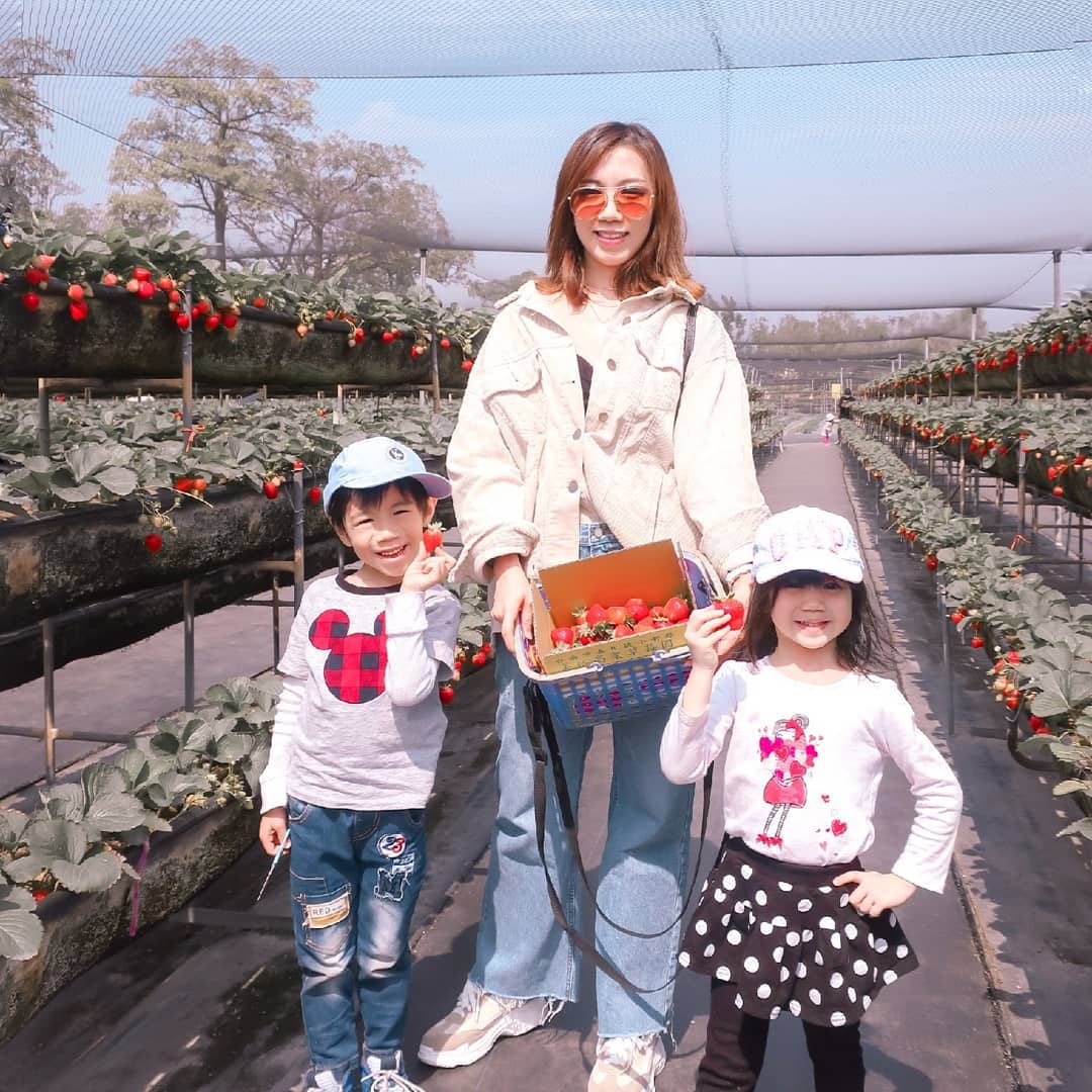 美裕草莓園 @josephine Hwang