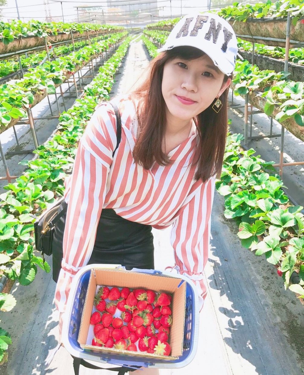 美裕草莓園 @lovepanda0116