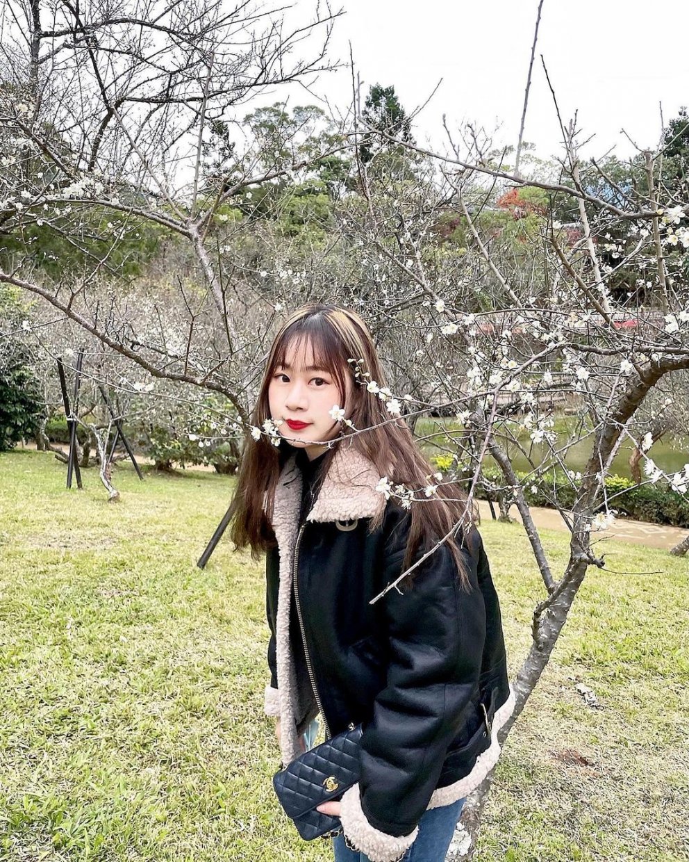 角板山 @xuan 95