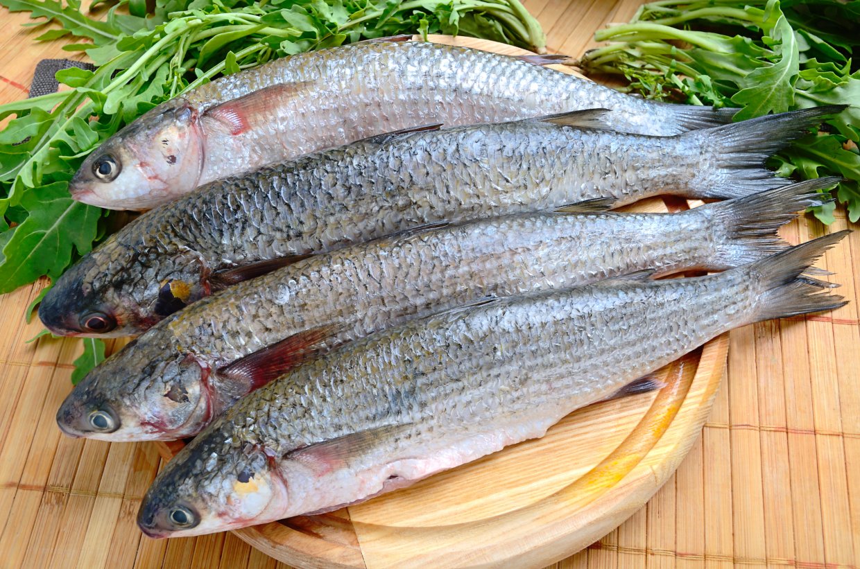 烏魚子料理