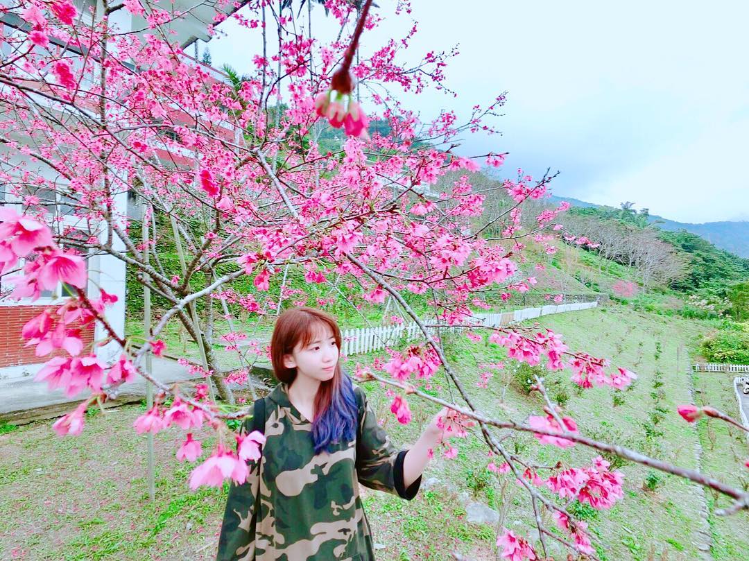 玉山神學院 @hello Grace