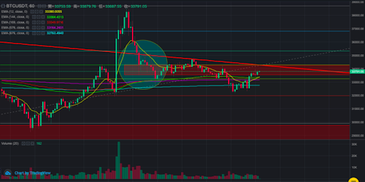 btc0202