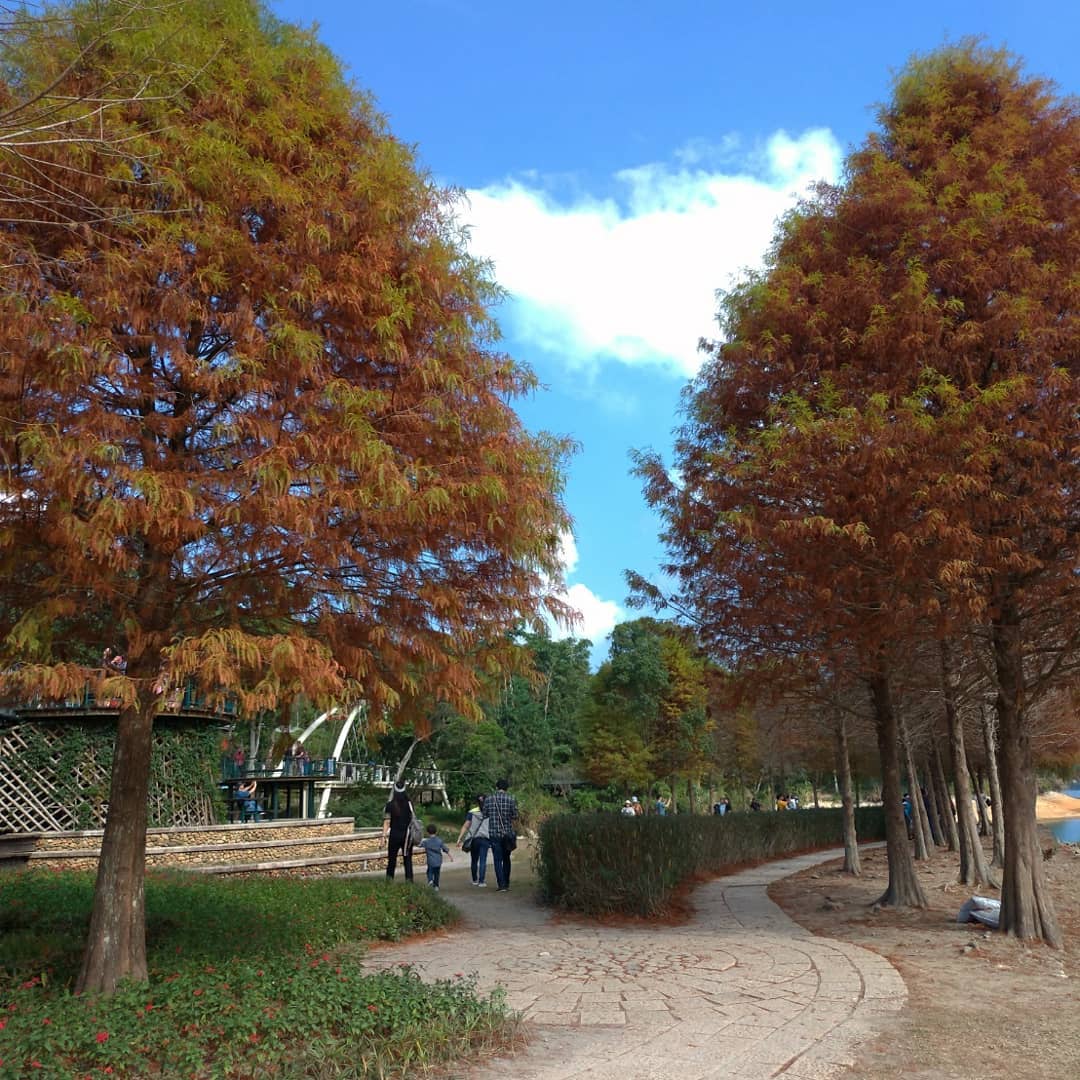 向山步道 @liaobifen7