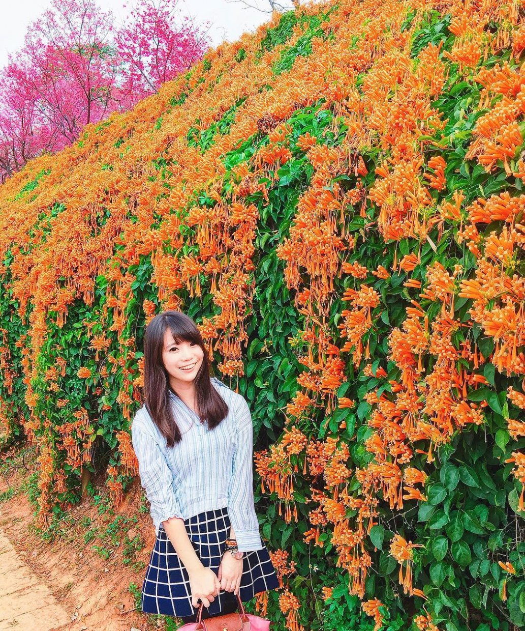 銅鑼 @wishmeteor
