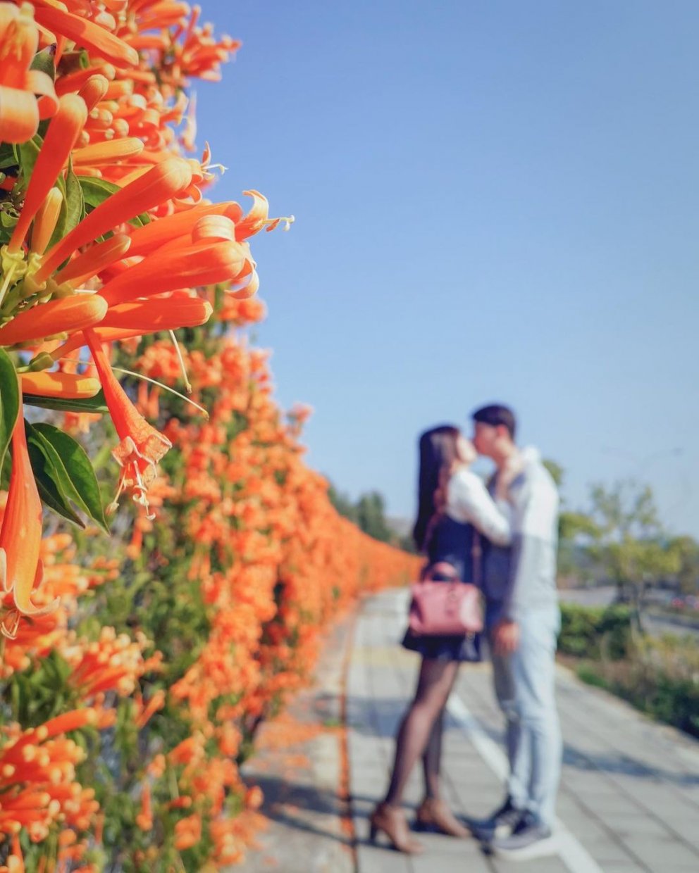 后科路 @dalin209