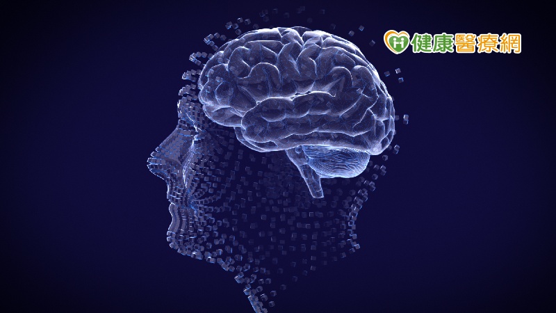 蛋白不穩定也會導致智能障礙 大腦發育研究新突破