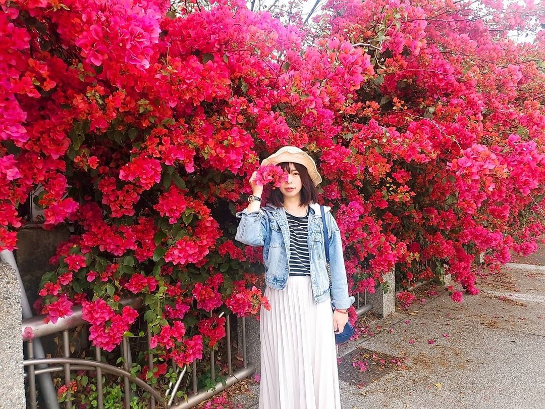 全台賞九重葛花景點推薦|追尋九重葛花,來趟賞花住宿之旅