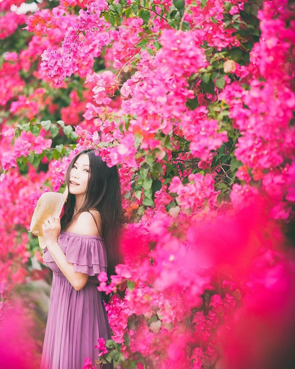 全台賞九重葛花景點推薦|追尋九重葛花,來趟賞花住宿之旅 全台賞九重葛花景點推薦|追尋九重葛花,來趟賞花住宿之旅