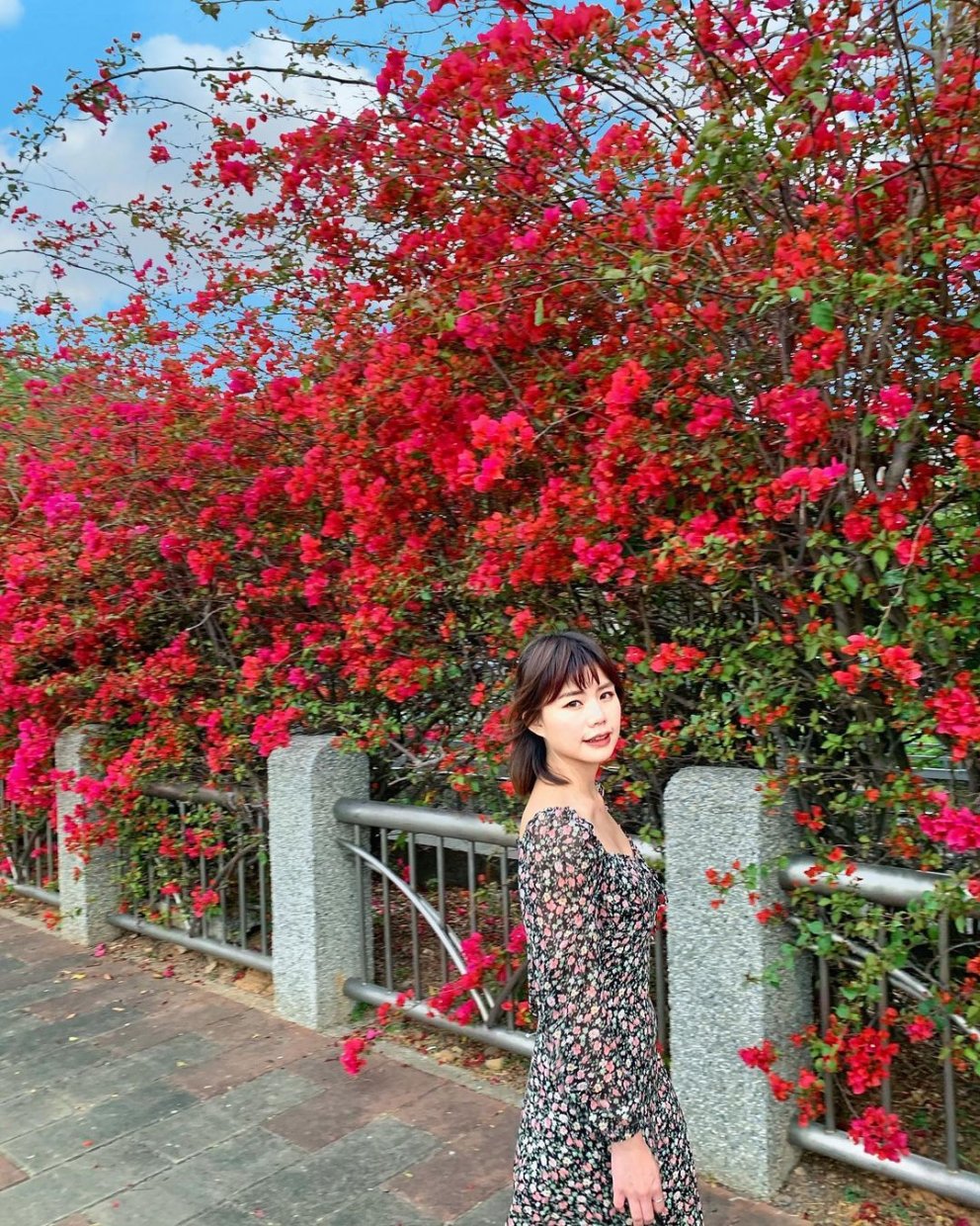 全台賞九重葛花景點推薦|追尋九重葛花,來趟賞花住宿之旅 全台賞九重葛花景點推薦|追尋九重葛花,來趟賞花住宿之旅