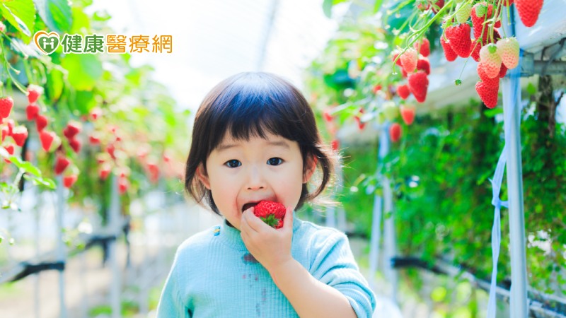 水果健康拼命吃? 營養師揭兒童攝取原則