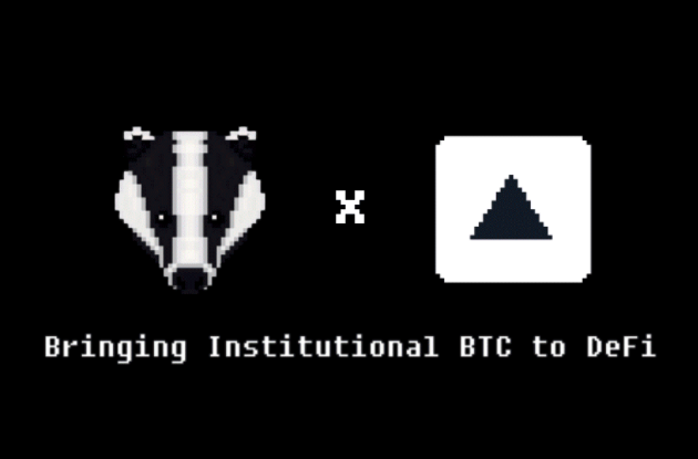 badgerdao fireblocks