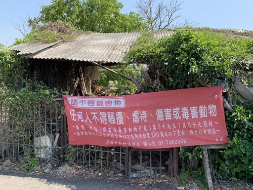 有關路竹魚塭流浪犬疑似被傷害    動保處說明處理情形／波新聞