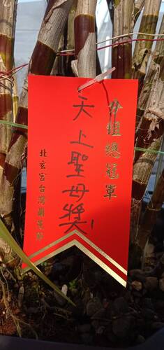 屏東縣九如一間廟撐起蘭花節,變成地方傳統活動/波新聞
