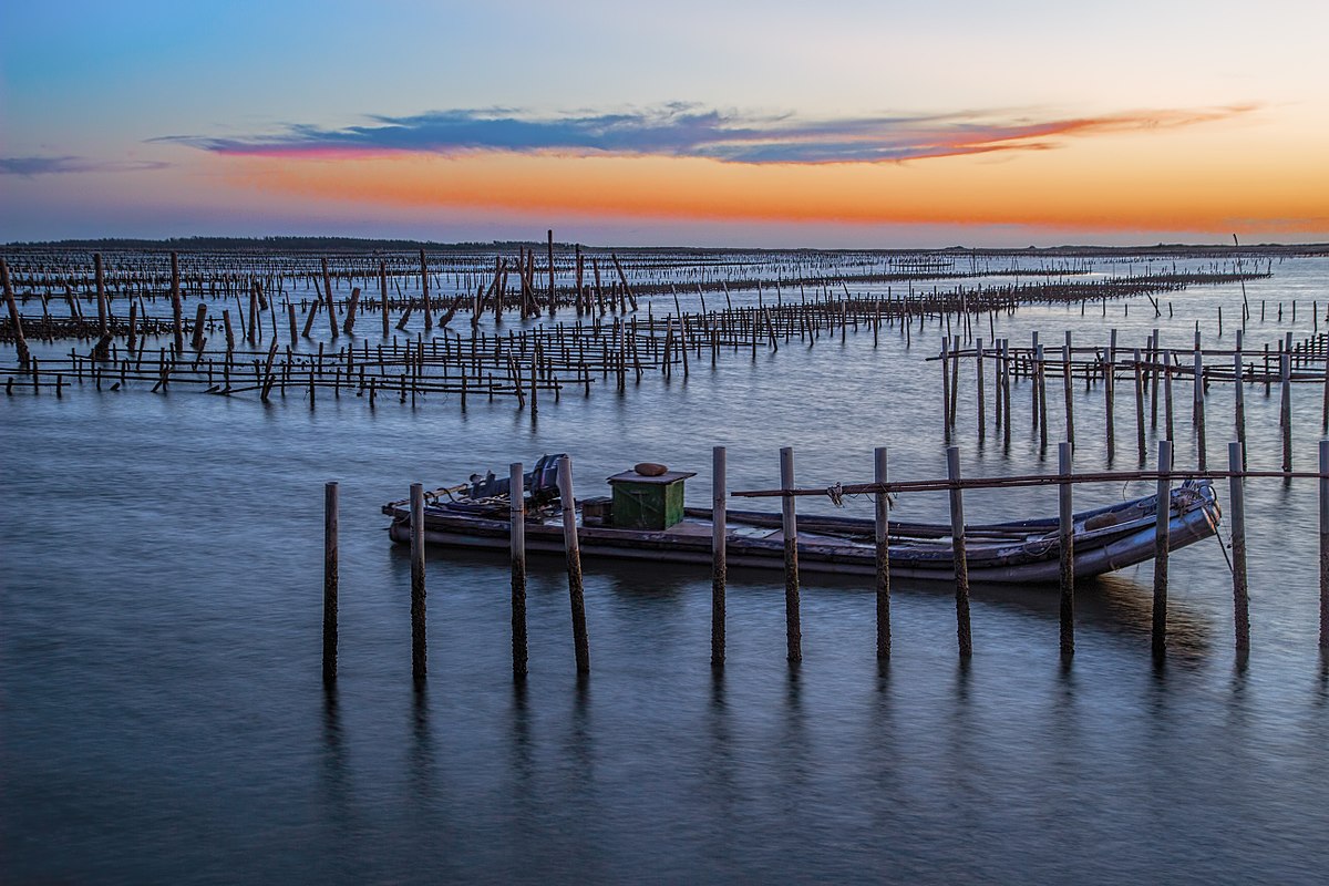 悠遊台南七股|竹筏遊潟湖 烤蚵吃到飽 來趟美食與生態之旅!