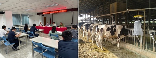 整合局處因應牛結節疹防範     全面牧場訪視發放病媒防治藥劑／波新聞