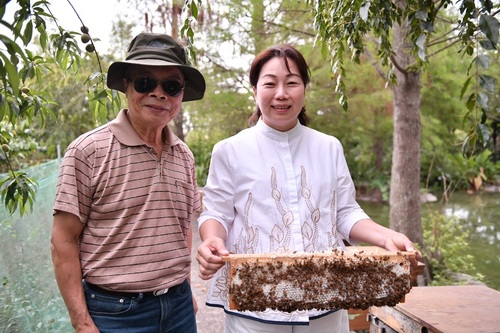 徐榛蔚遠赴彰化縣City Bear生態農場取經     盼借鏡蜜蜂及黑水虻養殖創造食物鏈生機／波新聞