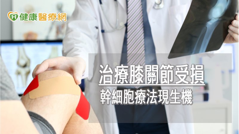 治療膝關節受損 幹細胞療法現生機
