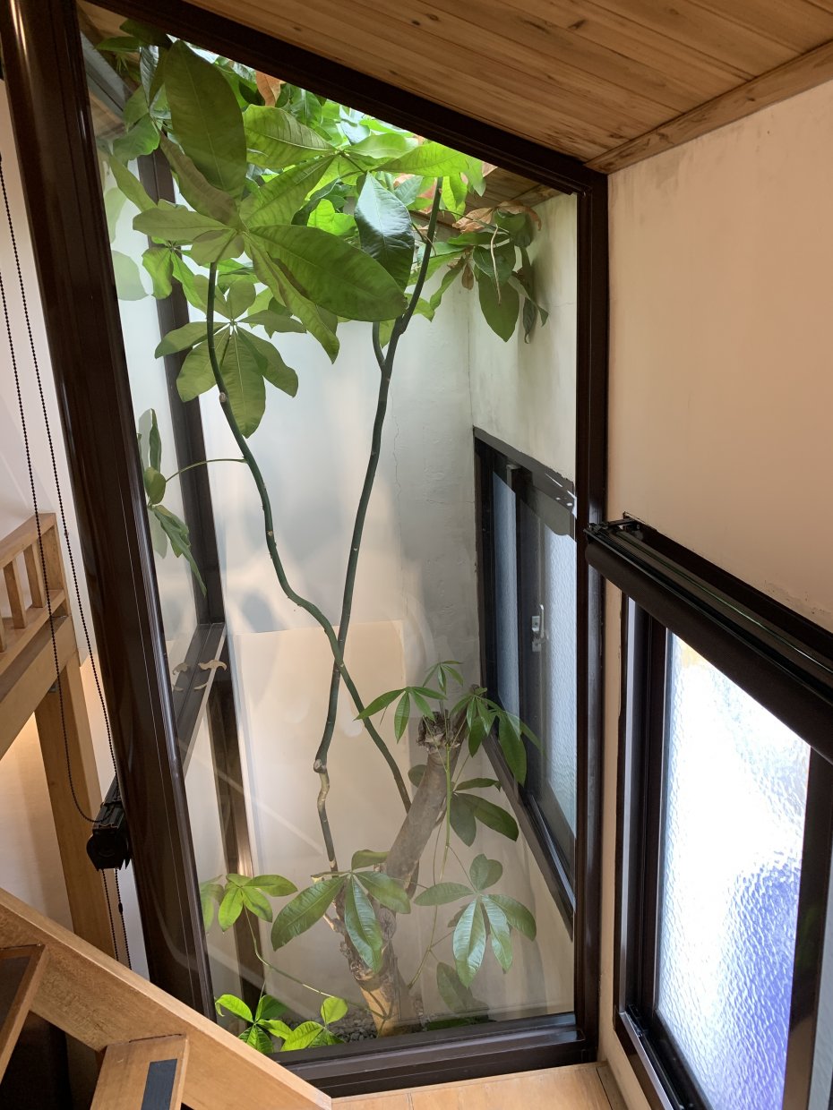台南老屋華麗變身！走進捉鳳凰百年老屋細品府城古都的歷史與韻味